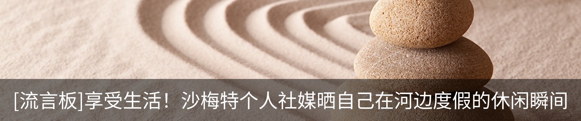 最新动态